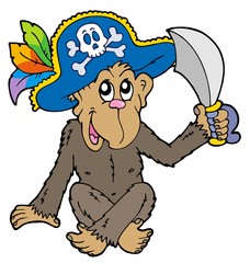 Pirate monkey