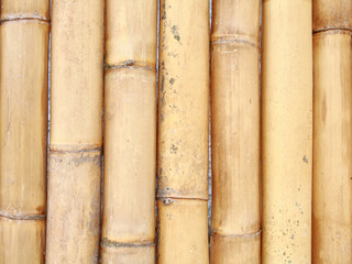 big bamboo wall