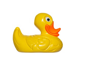 duck toy