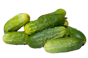 Cucumbers 3