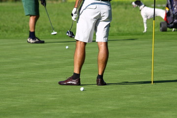 Obraz premium golfen