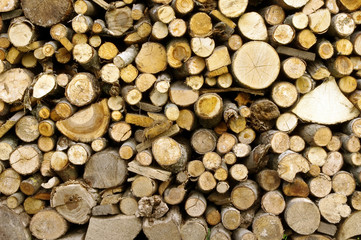 Stack of firewood