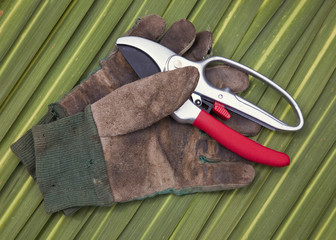 Secateurs and Old Gardening Gloves