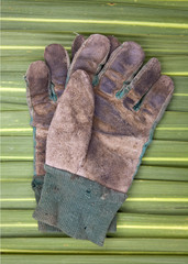 Old Gardening Gloves