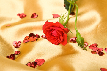 Red roses on golden satin