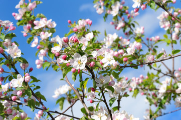 Frühling 139
