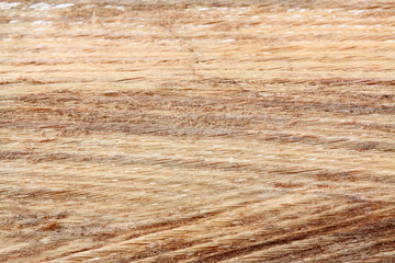 feuille de fibres végétales de cocotier