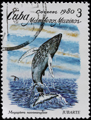 ost stamp shows sea mammal humpback whale © NaDi