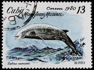 post stamp shows sea mammal grey whale © NaDi
