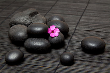 Fototapeta na wymiar Ambiance zen - pierres noires et fleur rose