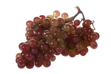 Fototapeta premium Uva