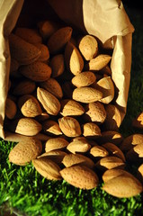 Mandeln in der Tüte