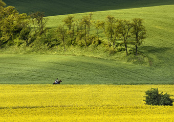 wyprawa © czeladnik