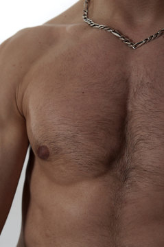 Torse viril