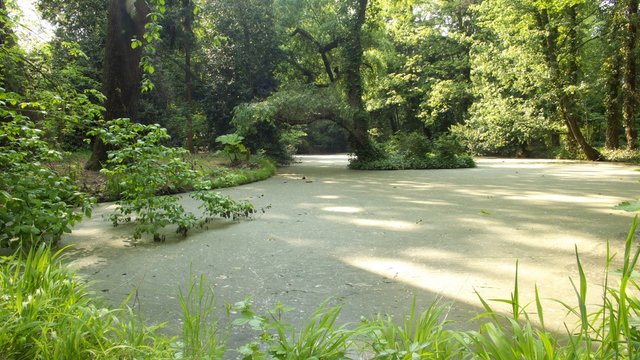 Park