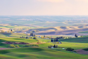 Farmland in Palouse Washington