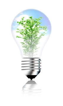 電球