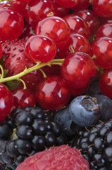 berries macro shot