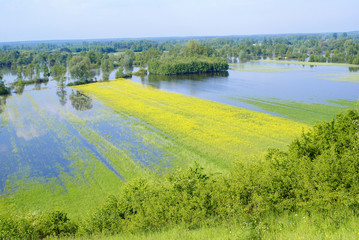 Flood