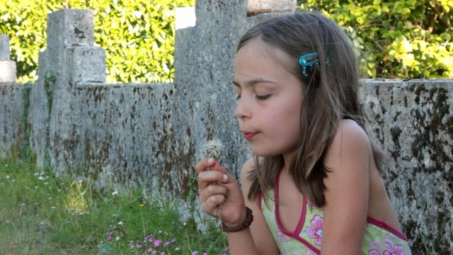 souffler son pissenlit et envoyer un bisou