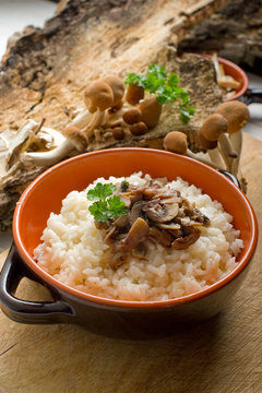 mushroom rice on bowl - risotto con funghi