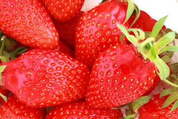 Fraises bio