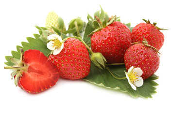 strawberry