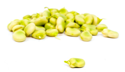 fèves fraîches