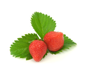 Fragole