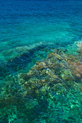 Naklejka na ściany i meble Clear turquoise sea water. Adriatic sea.