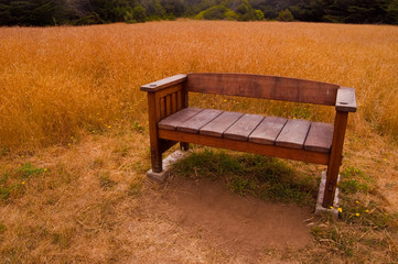 Fototapeta premium Solitary Bench