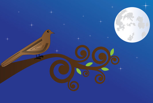 Small nightingale sings at night in a full moon
