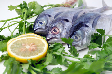 fish with the lemon