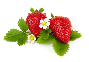 strawberry with leaf and blossom