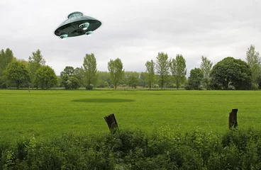 Fototapeten UFO über grüner Wiese © robotcity