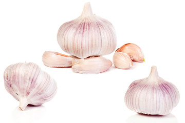 isolated garlics on white