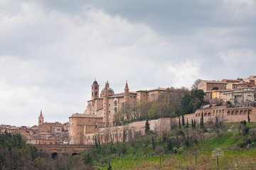 Urbino