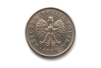 Naklejka premium Polish coin
