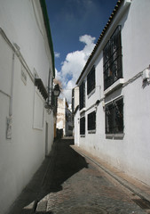 A Sevilla small road (calle)