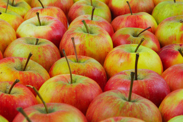 Apples, may be used as background