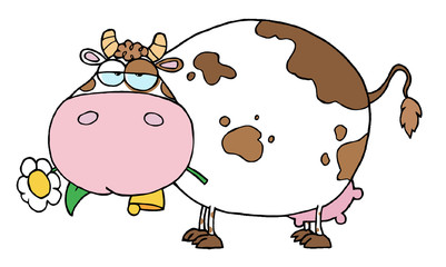 Chubby Dairy Cow Snacking On A Flower