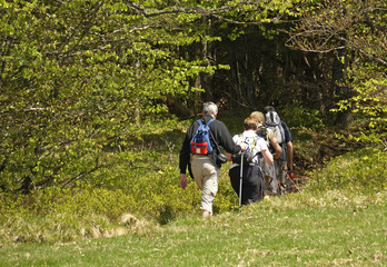RANDONNEURS DANS LA FORET