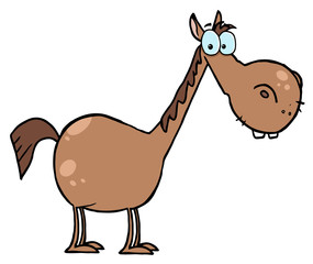 Short Brown Horse With A Long Neck
