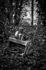 Fototapeta na wymiar Old abandoned lawnmower