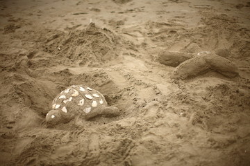 Sand sculptures