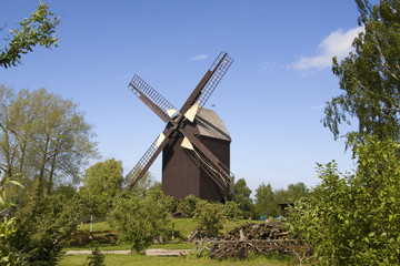 Fototapeta na wymiar Mühle in Eldena