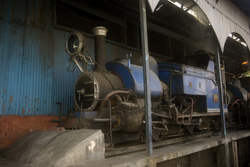 Toy train, Darjeeling, India - obrazy, fototapety, plakaty