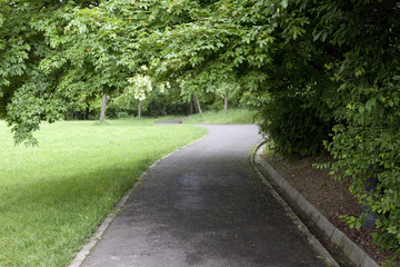 Fototapeta na wymiar Path through the landscaped park