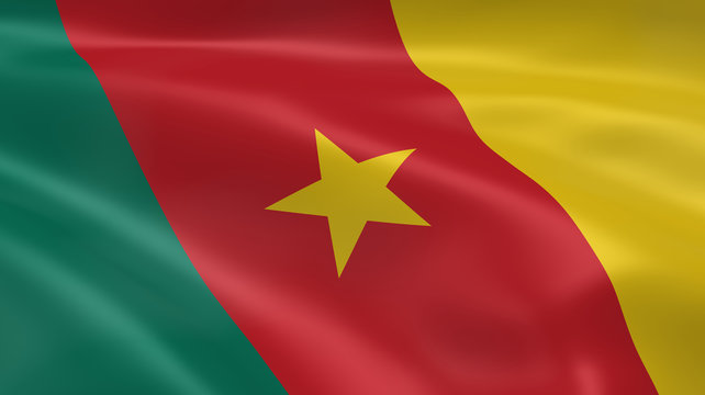 Cameroonian flag in the wind