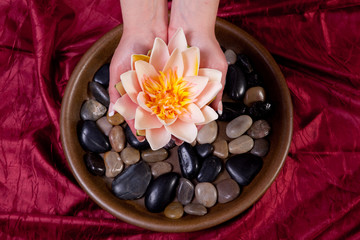 Fototapeta na wymiar Ręce gospodarstwa kwiat lotosu